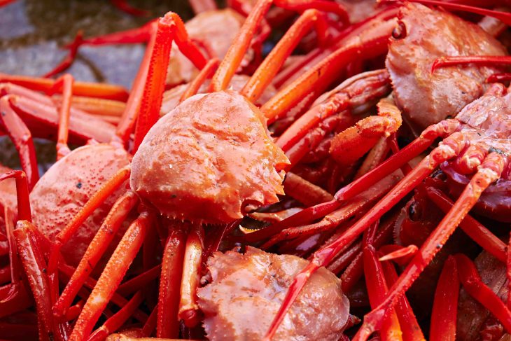 Red snow crabs