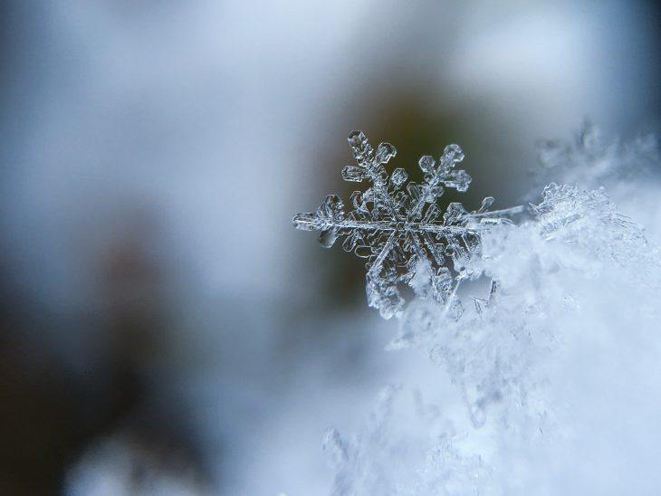 snow crystal snowflake