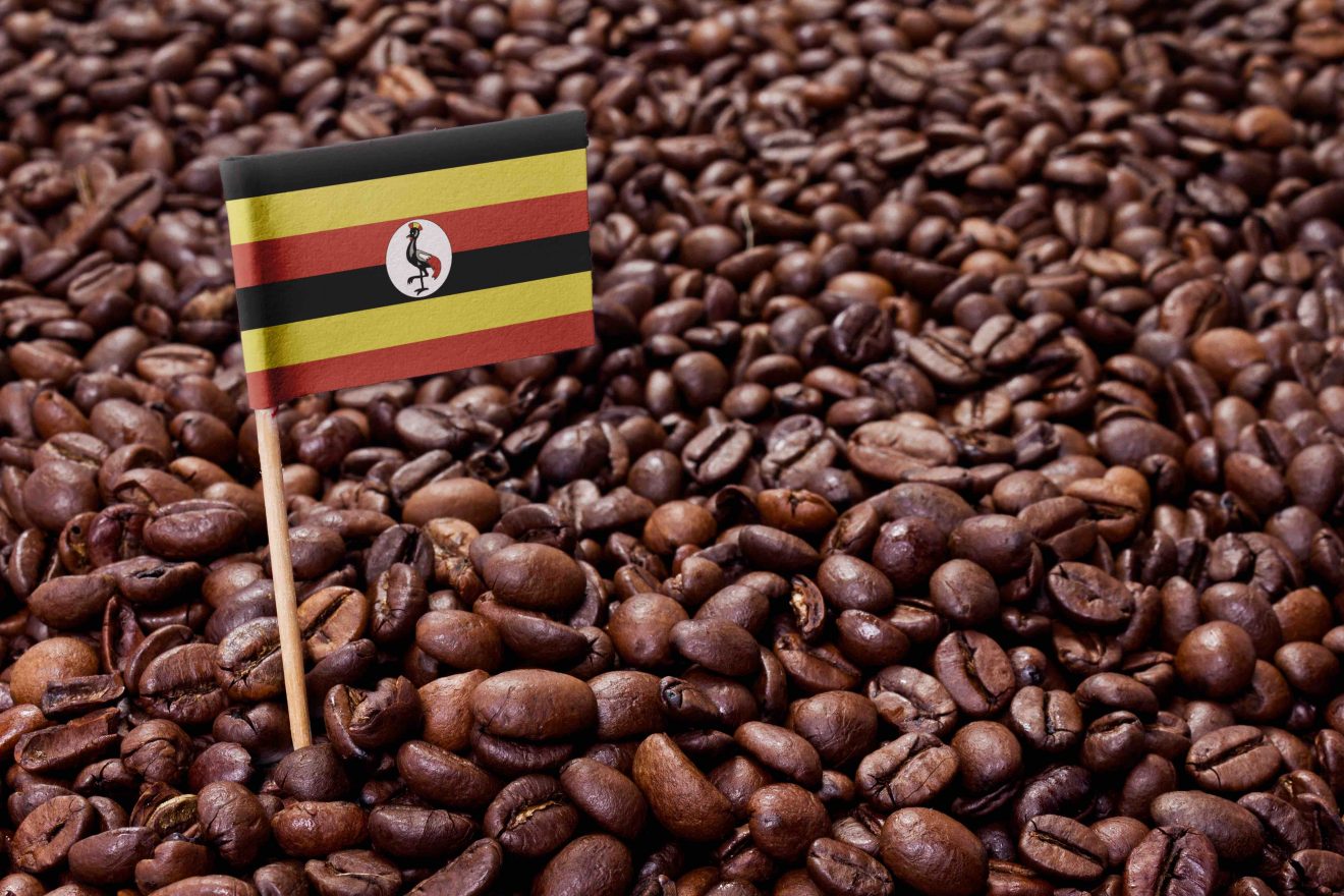 leading coffee producing countries