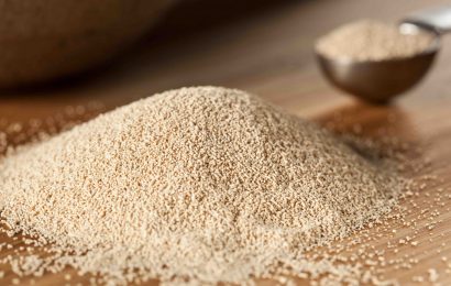 11 Facts About Yeast The Versatile Micoroorganism