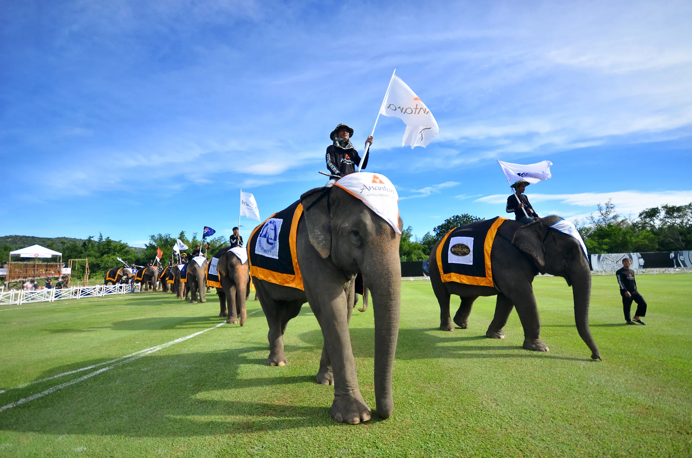 10-facts-about-kings-cup-elephant-polo-tournament