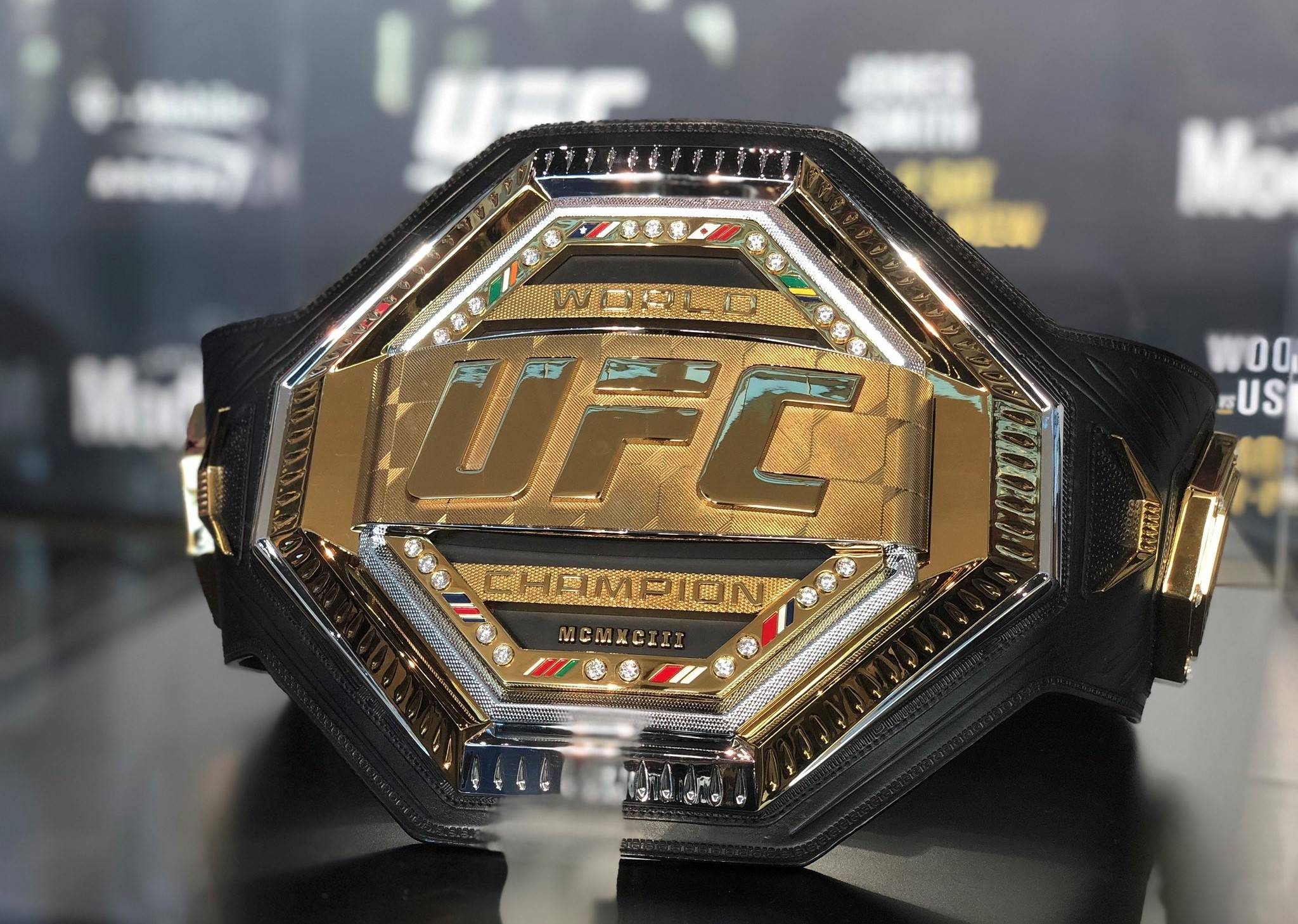 10-facts-about-ultimate-fighting-championship-ufc-event