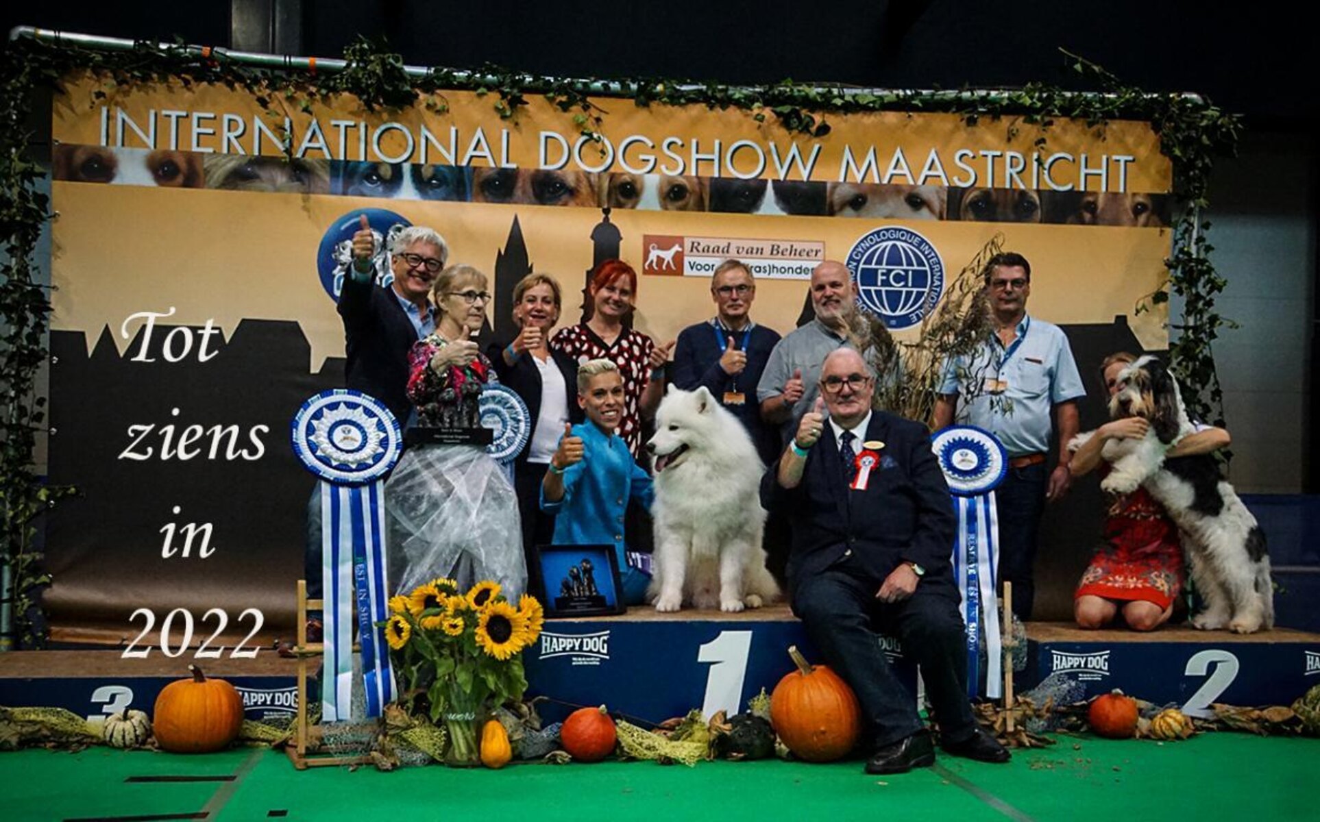 11 Facts About International Dog Show