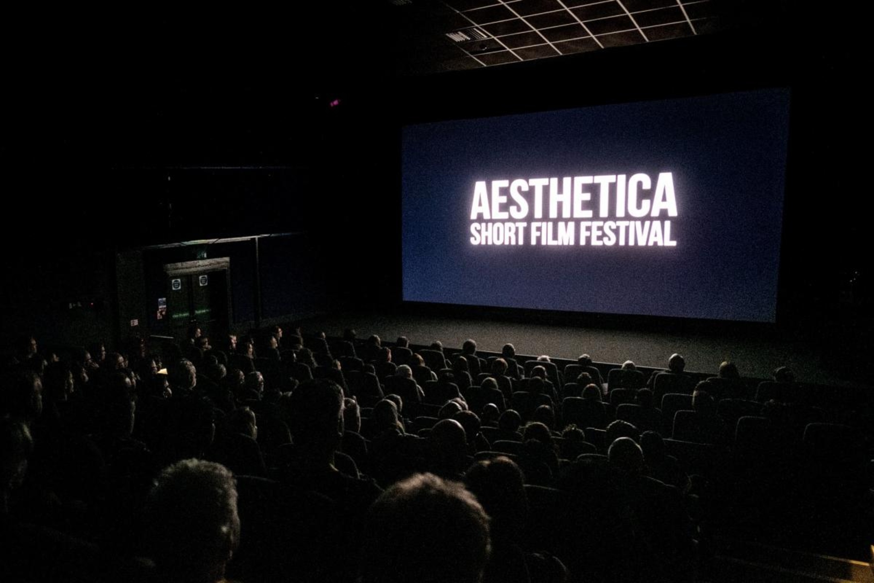 12-facts-about-aesthetica-short-film-festival