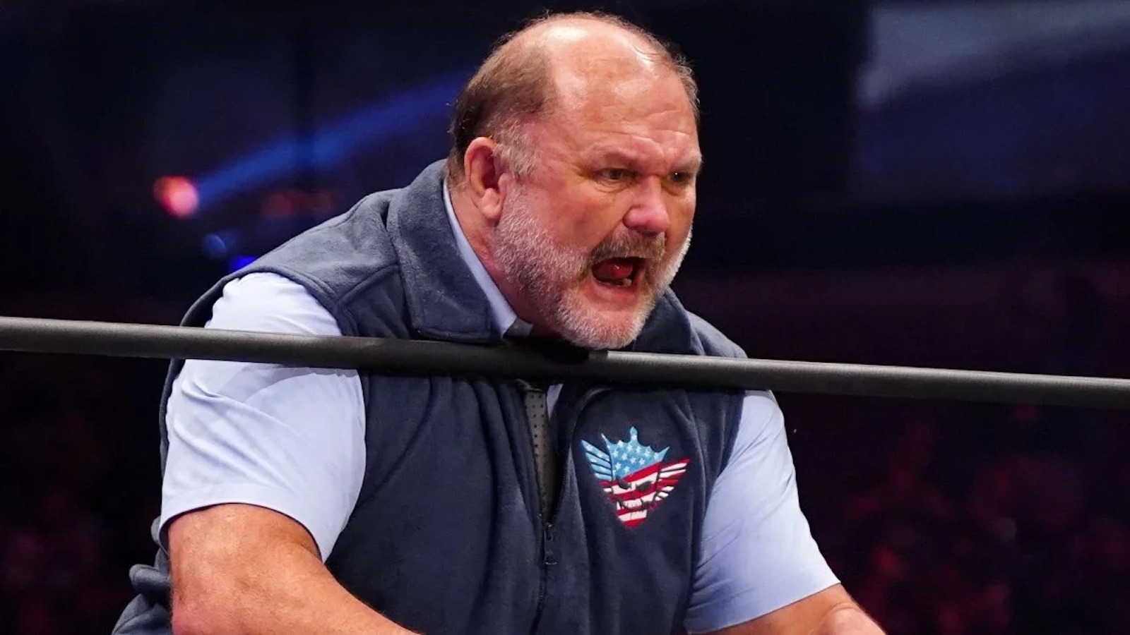 12-facts-about-arn-anderson