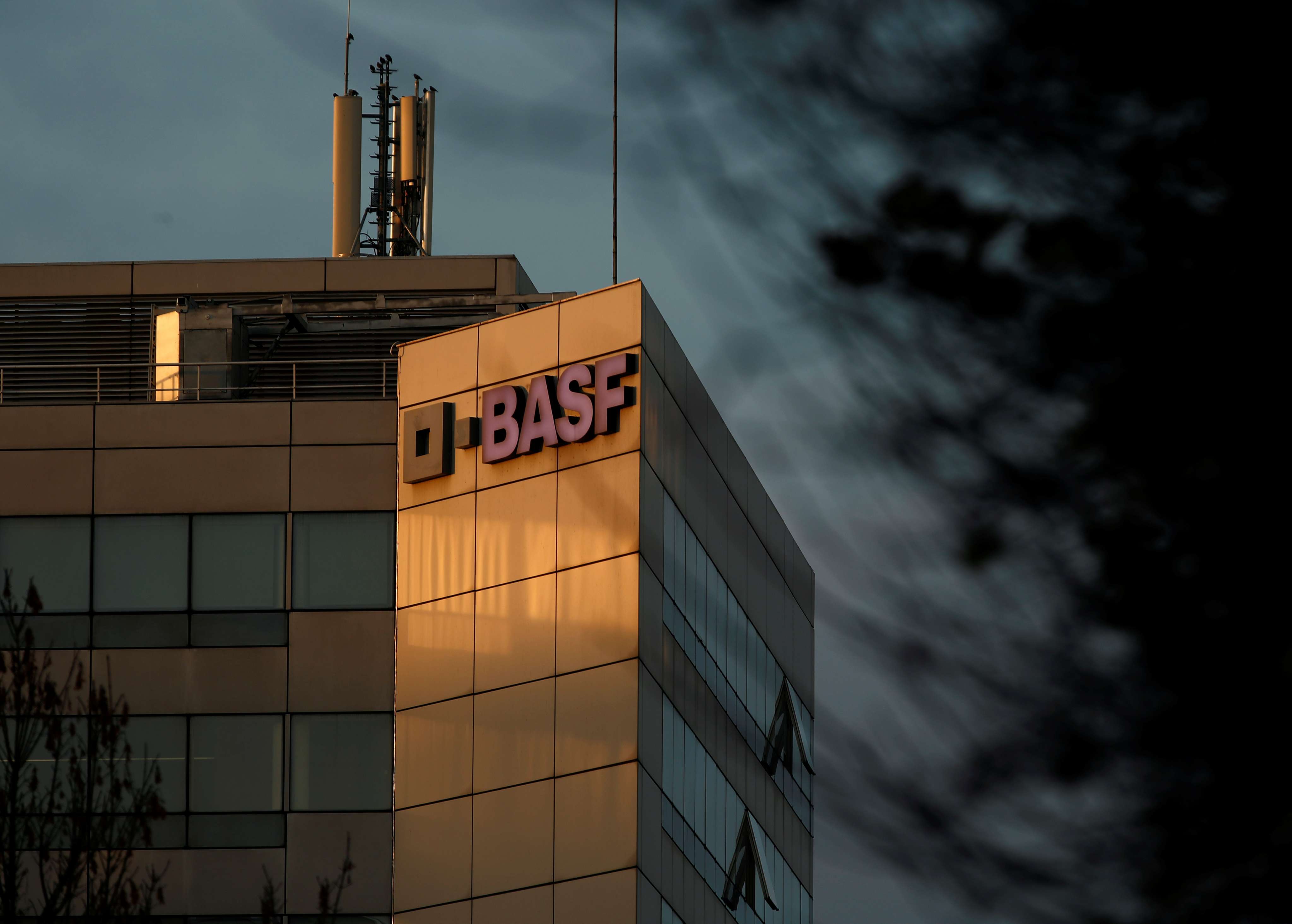 12-facts-about-basf