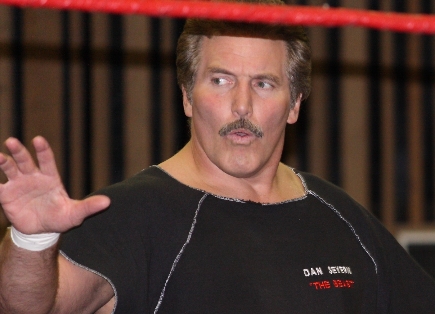 12 Facts About Dan Severn 