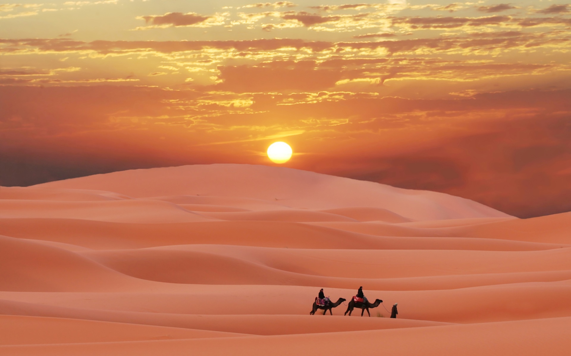 12-facts-about-desert