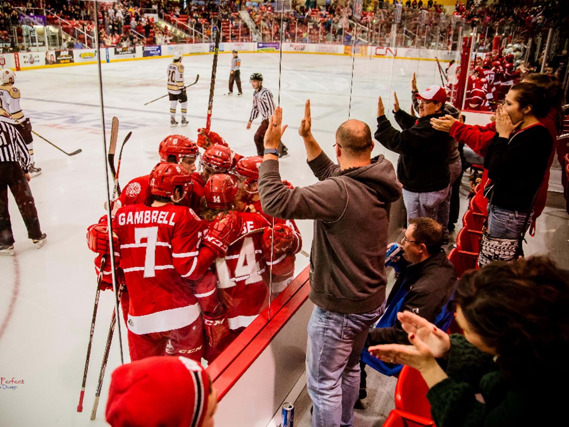 12-facts-about-dubuque-fighting-saints