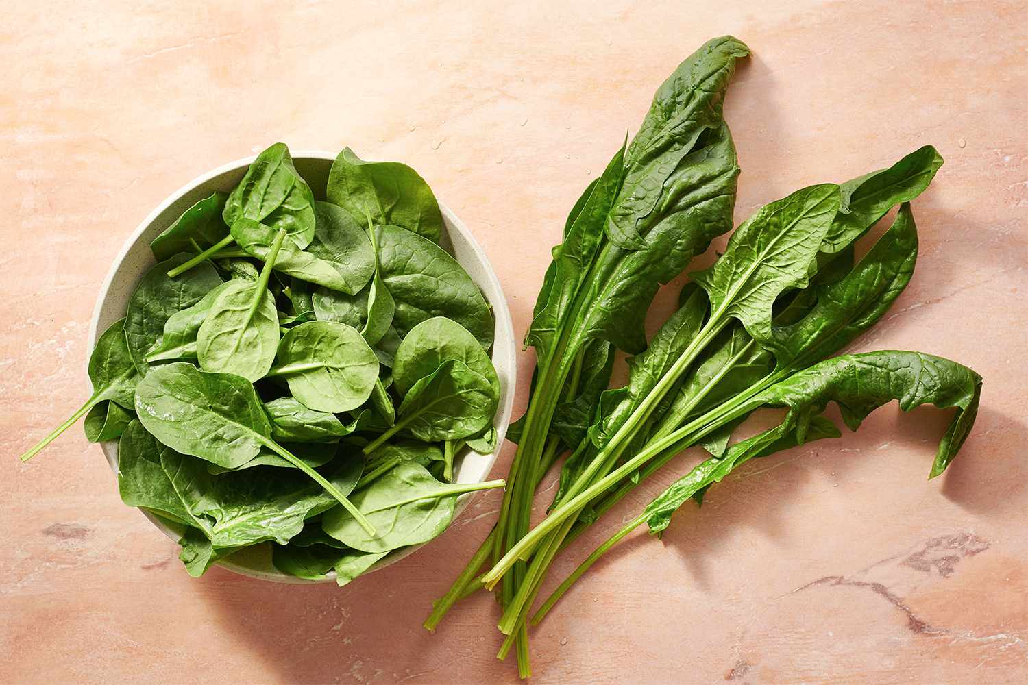 12-facts-about-english-spinach