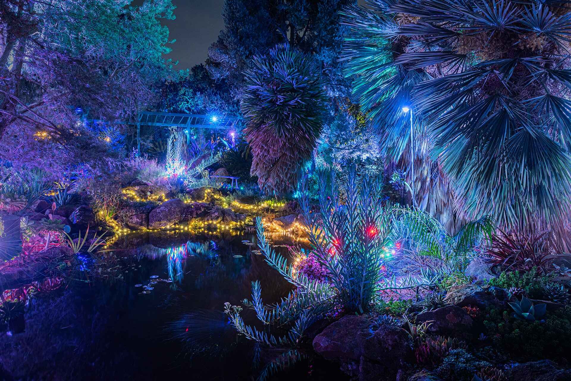 12-facts-about-garden-of-lights