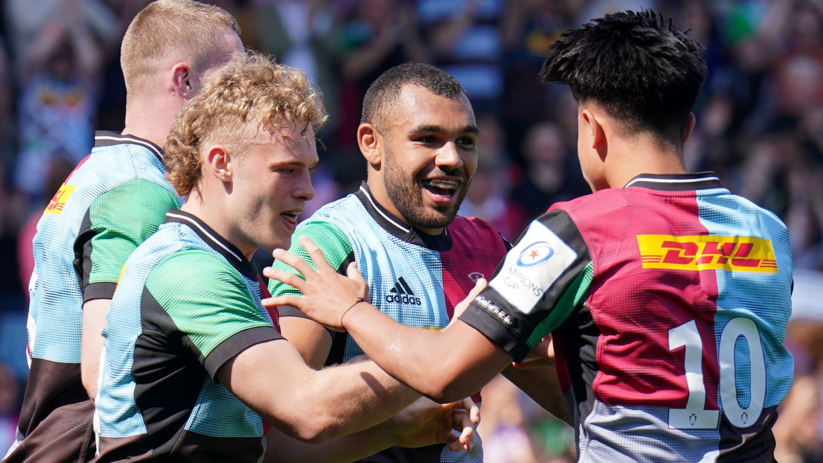 12-facts-about-harlequins