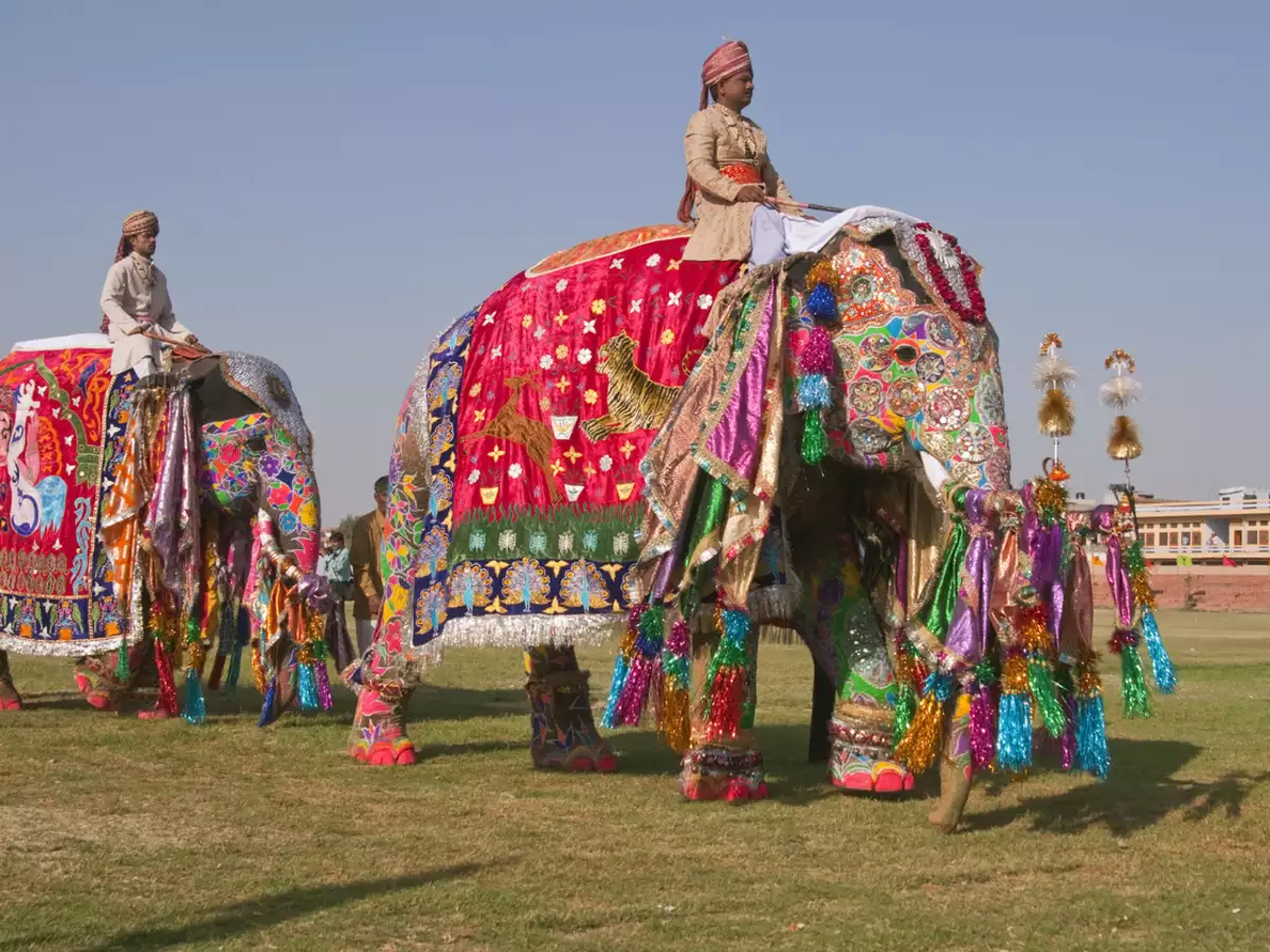 12-facts-about-jaipur-elephant-festival