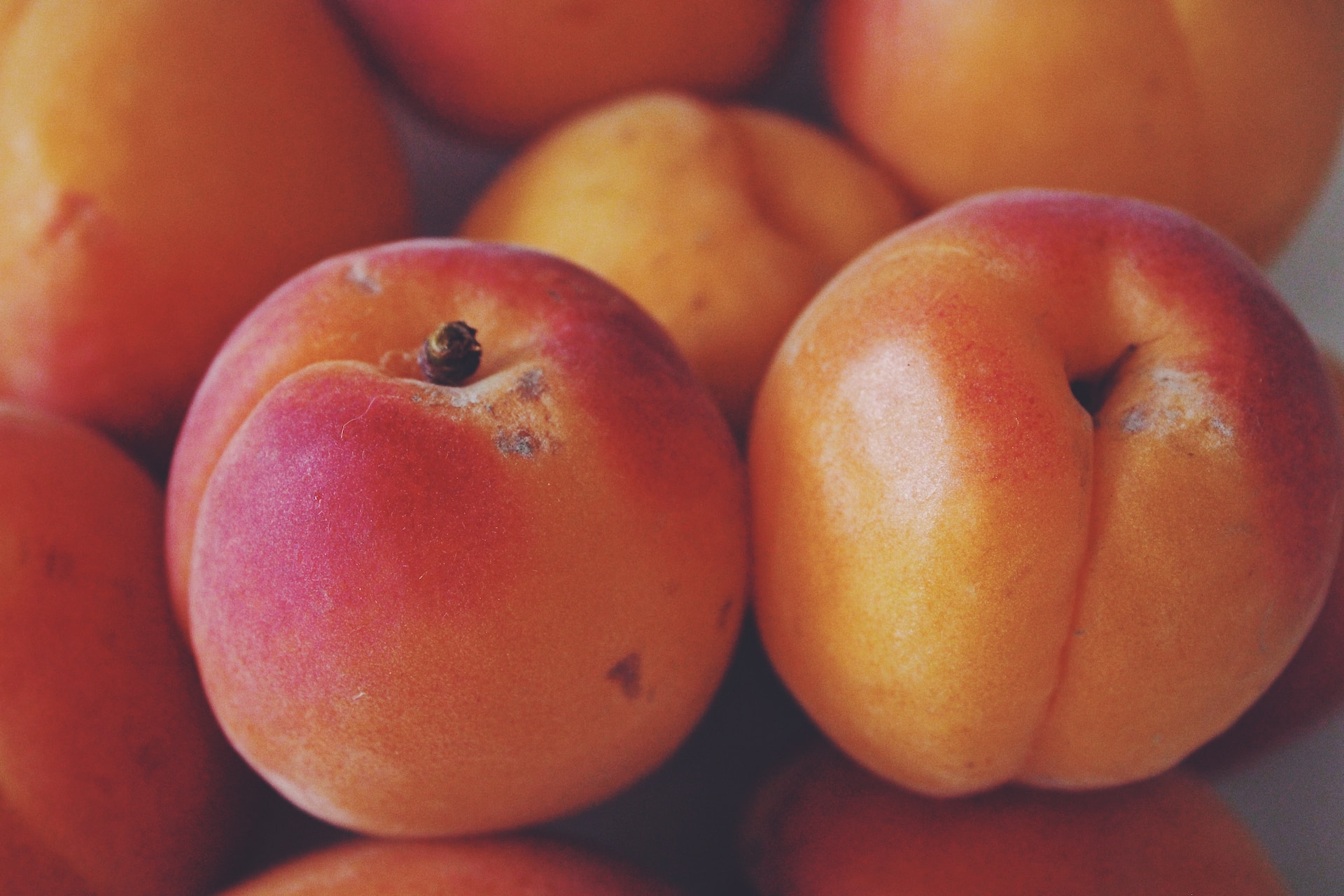 12-facts-about-nectarines