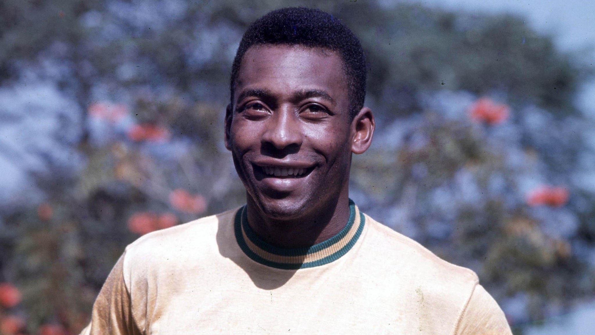 12-facts-about-pele