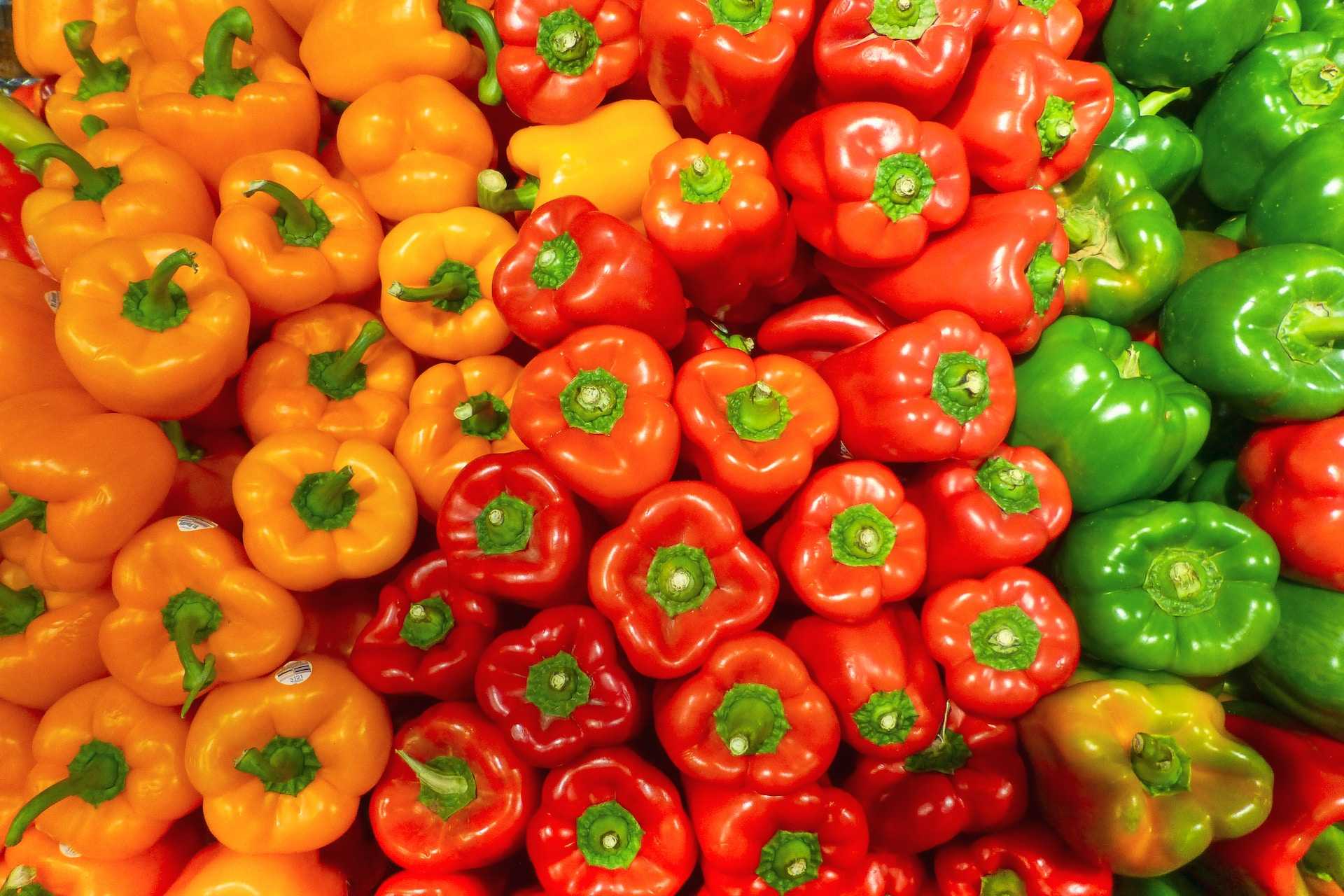 Red Bell Peppers Information and Facts