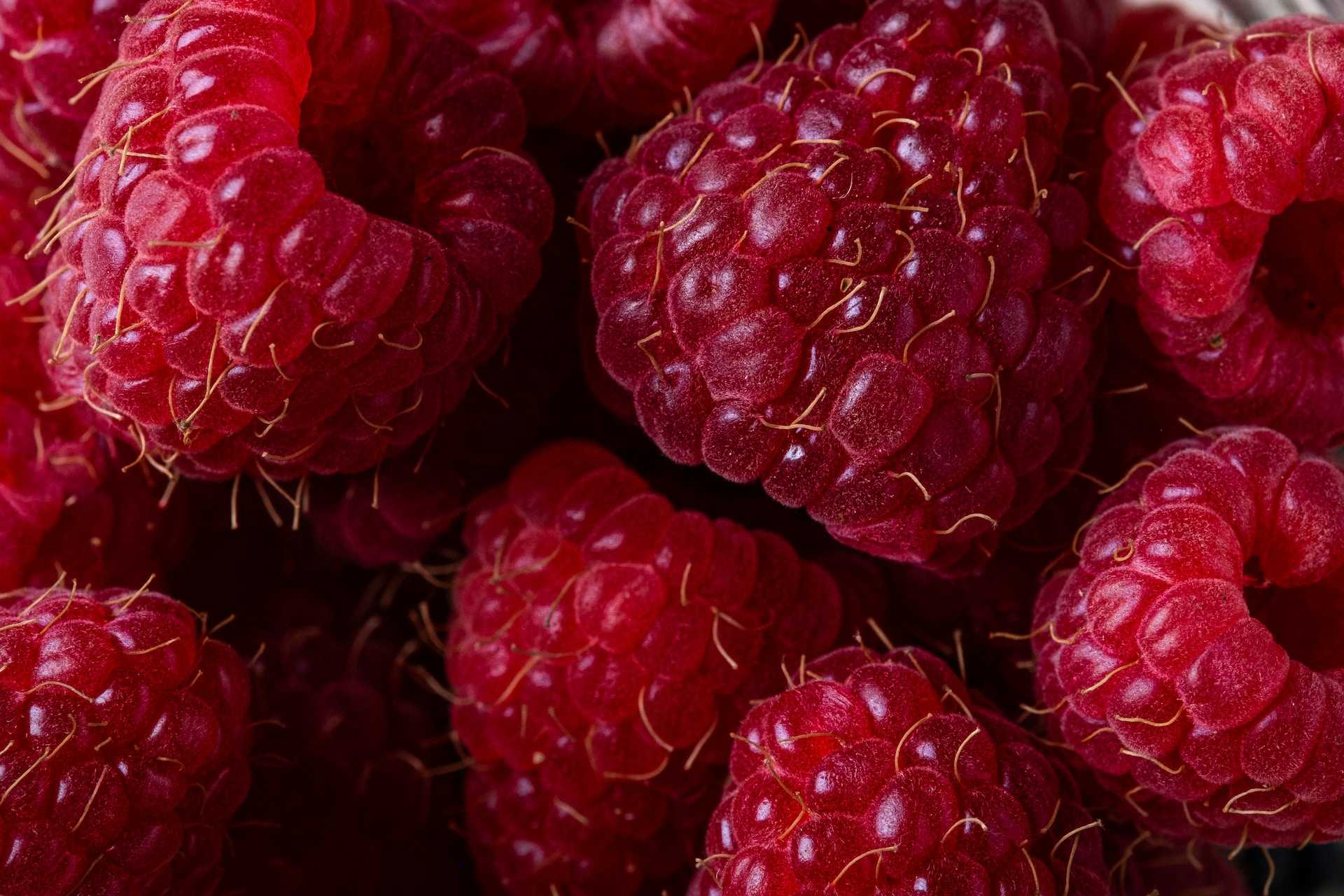 12-facts-about-raspberry