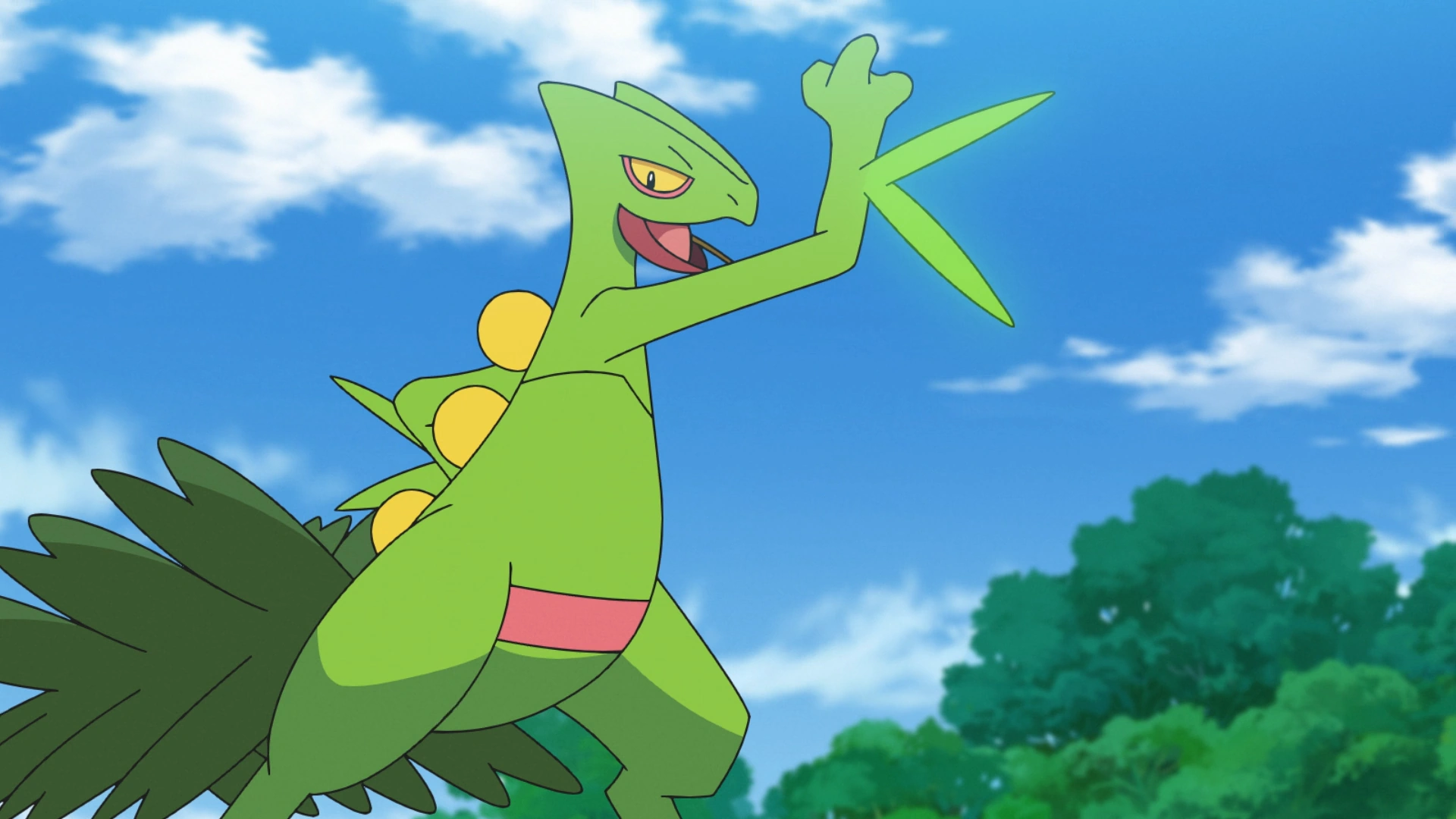12-facts-about-sceptile
