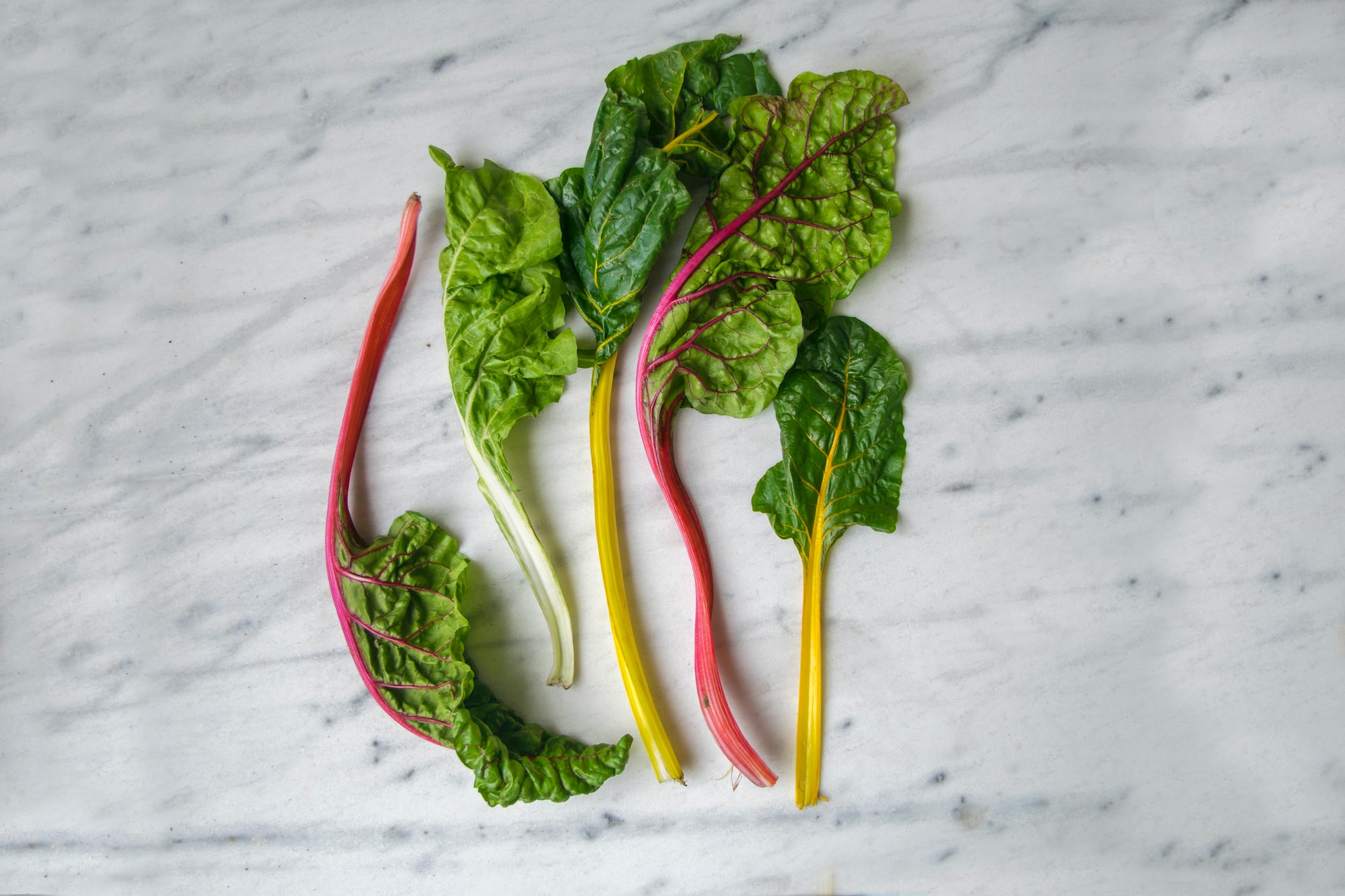 12-facts-about-swiss-chard
