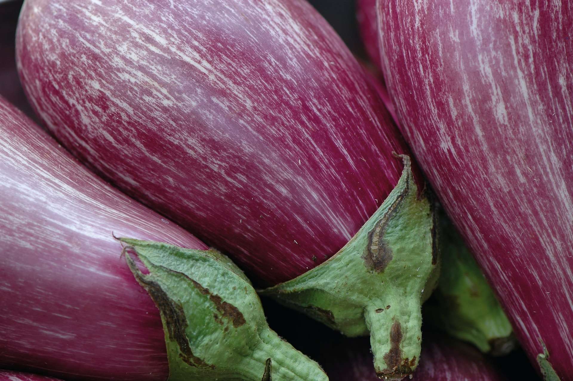 13 Facts About Aubergine