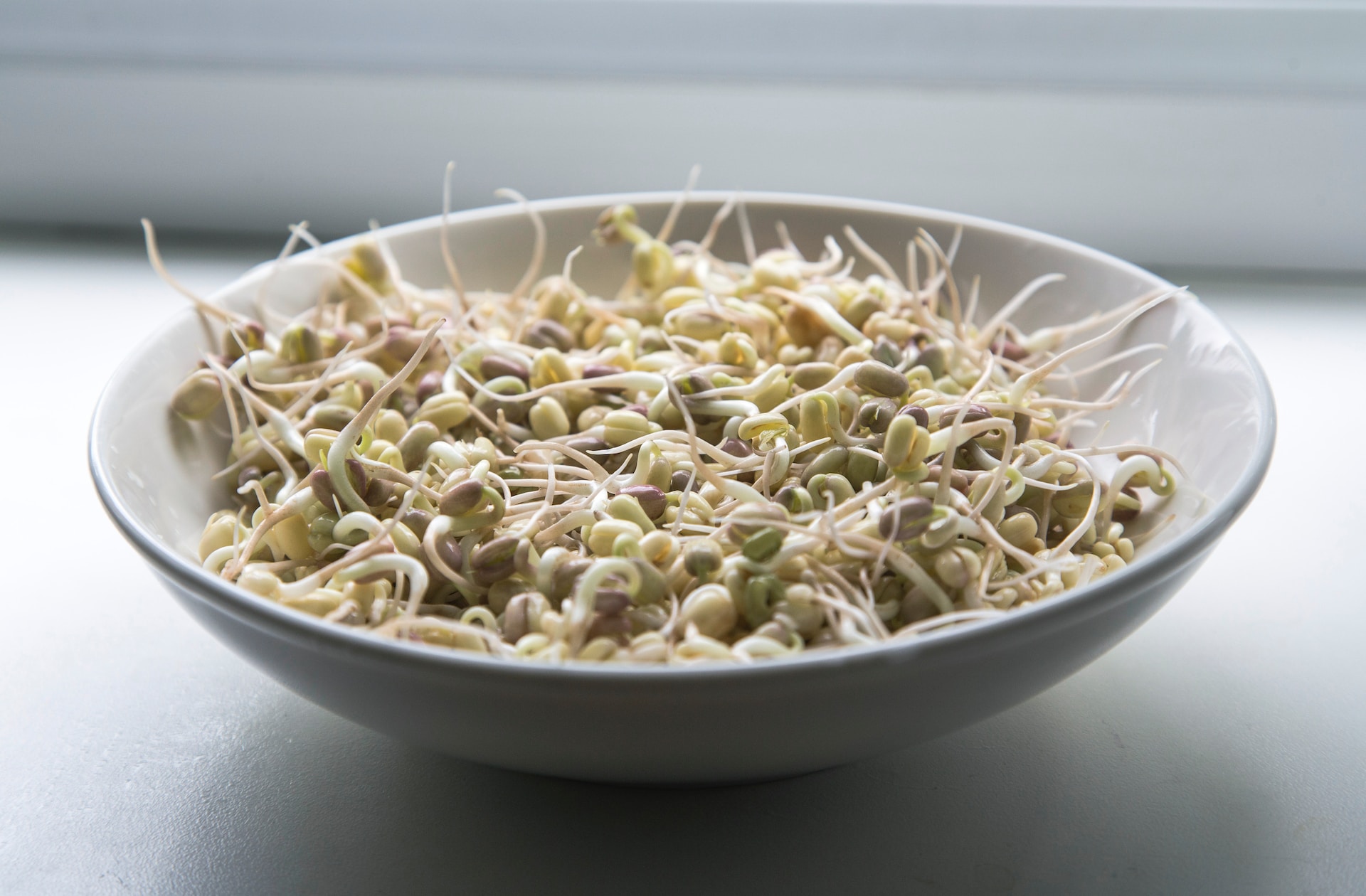 13-facts-about-bean-sprouts