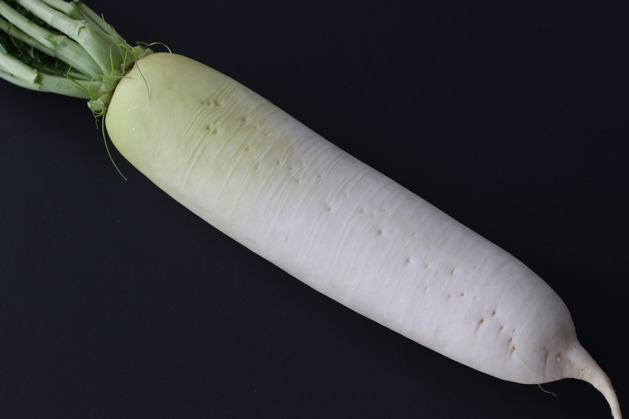 13-facts-about-daikon