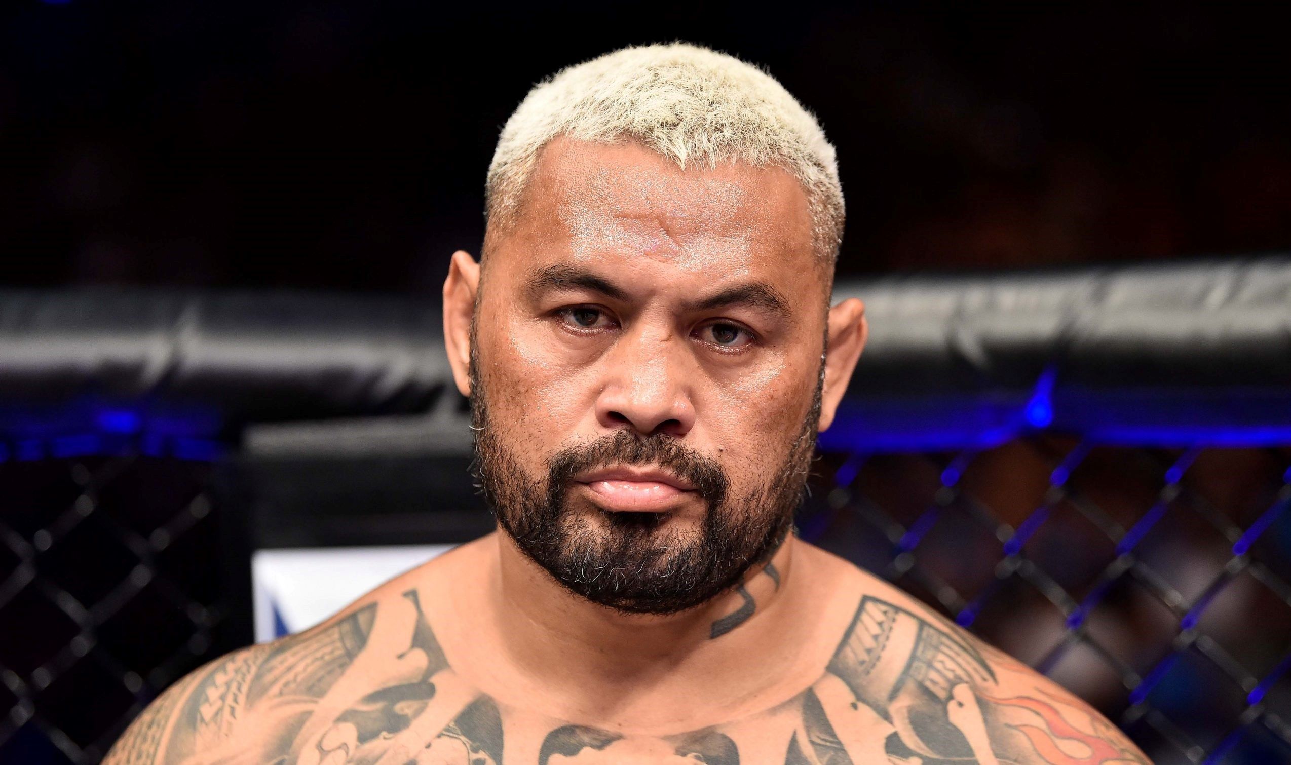 13-facts-about-mark-hunt