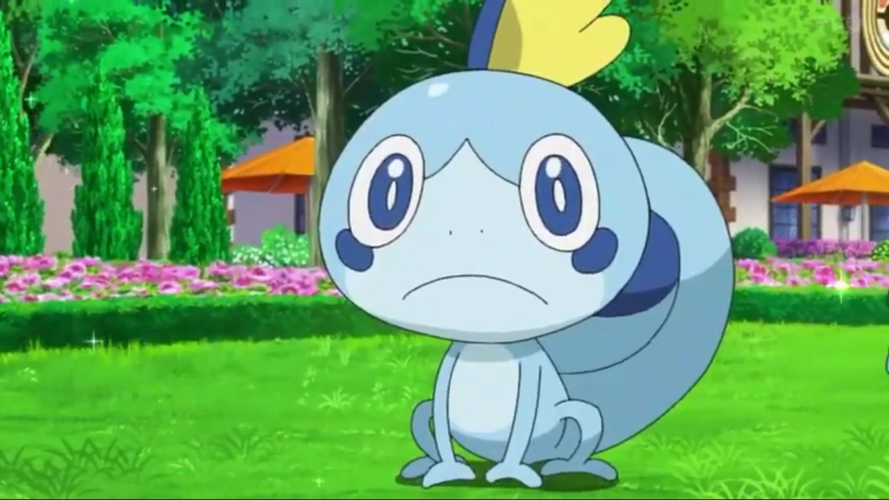 13-facts-about-sobble