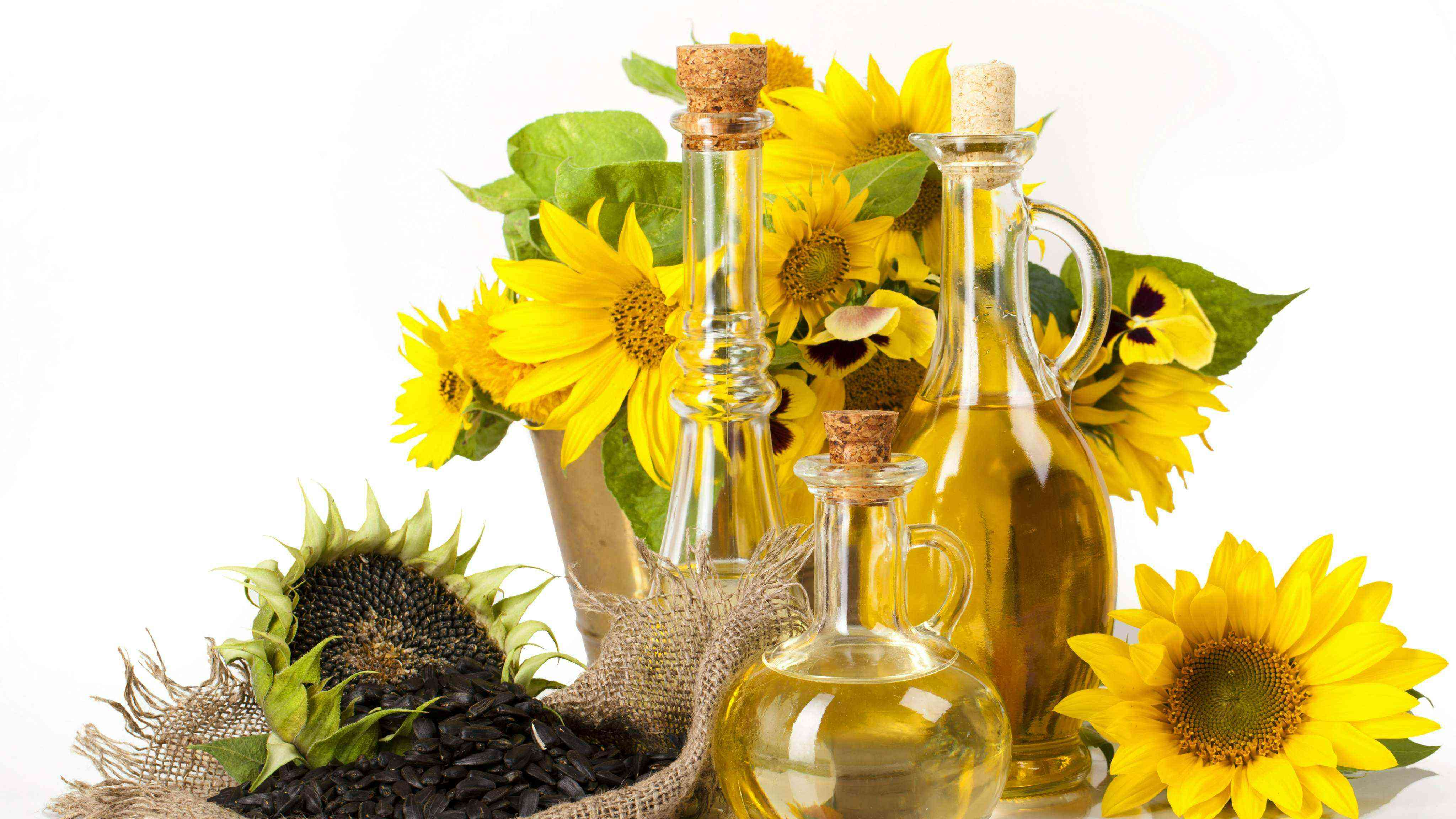 13-facts-about-sunflower-oil