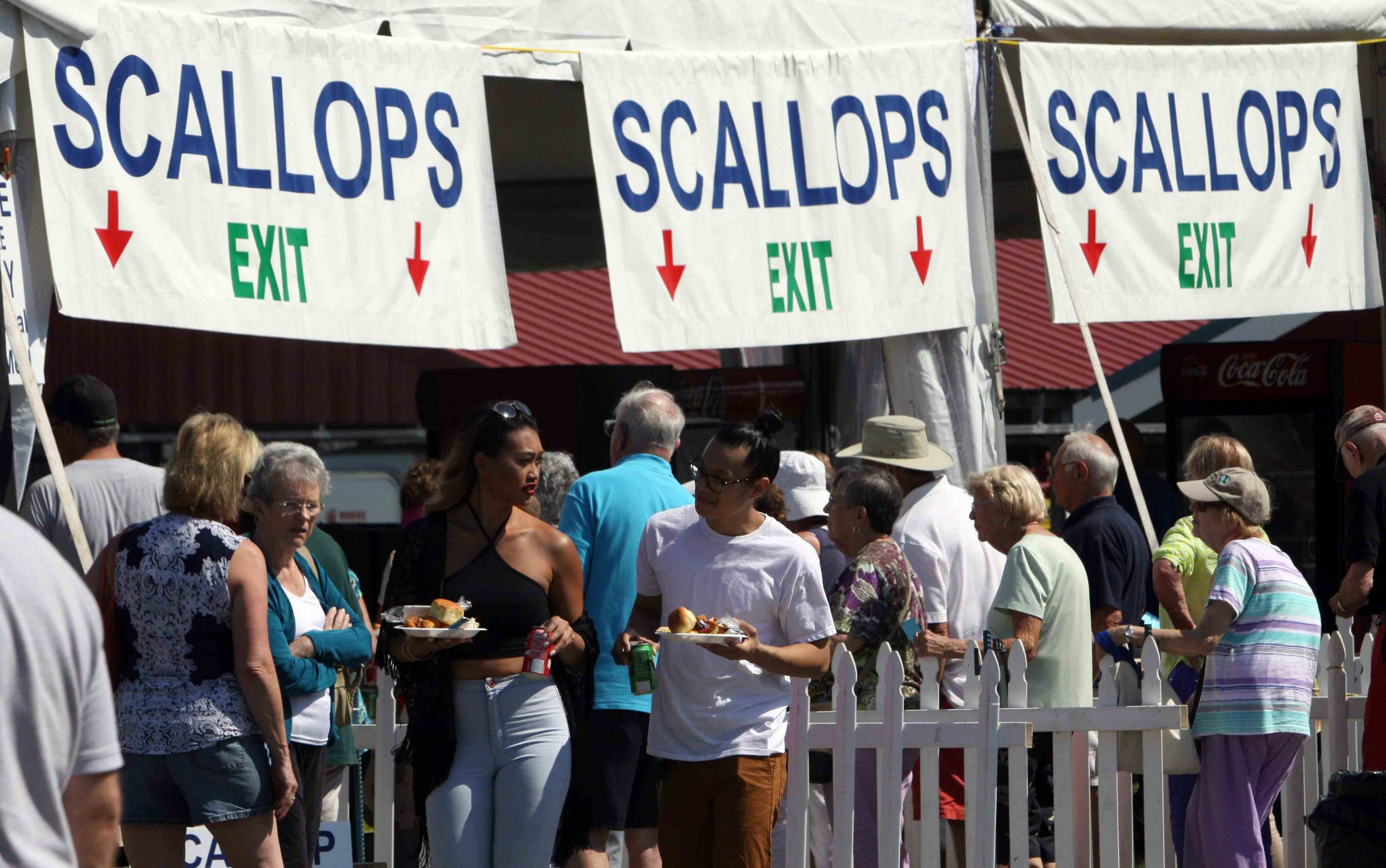 14 Facts About Cape Cod Scallop Festival