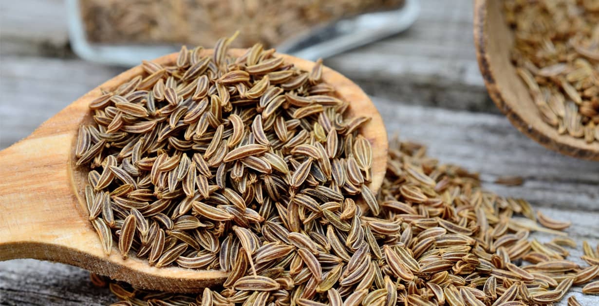 14-facts-about-caraway-seed