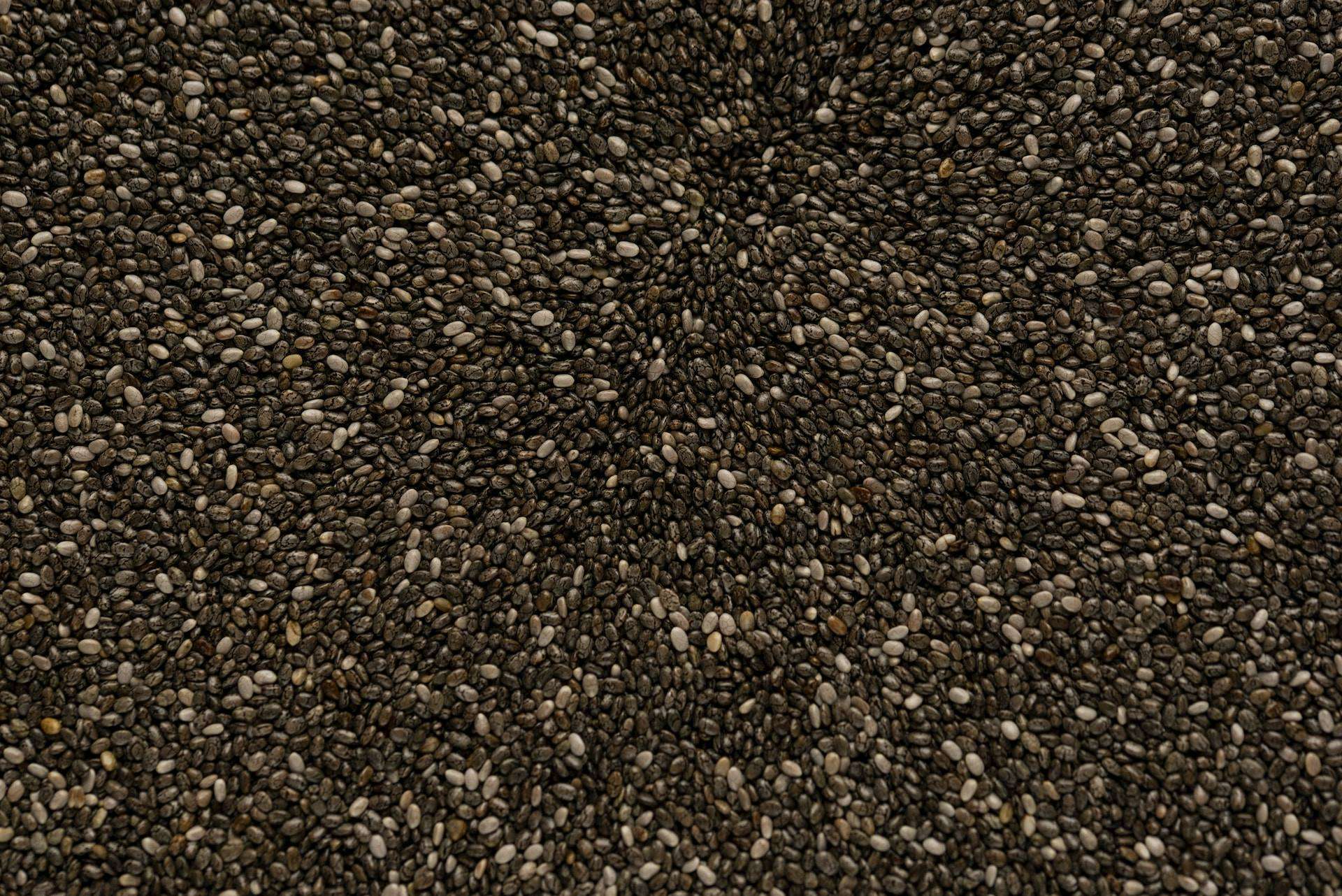 14-facts-about-chia-seeds