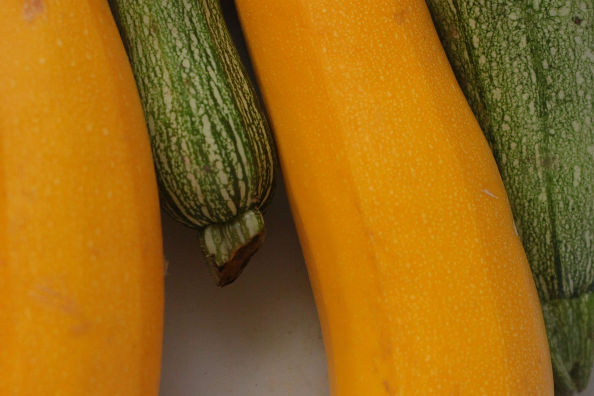 14-facts-about-courgette