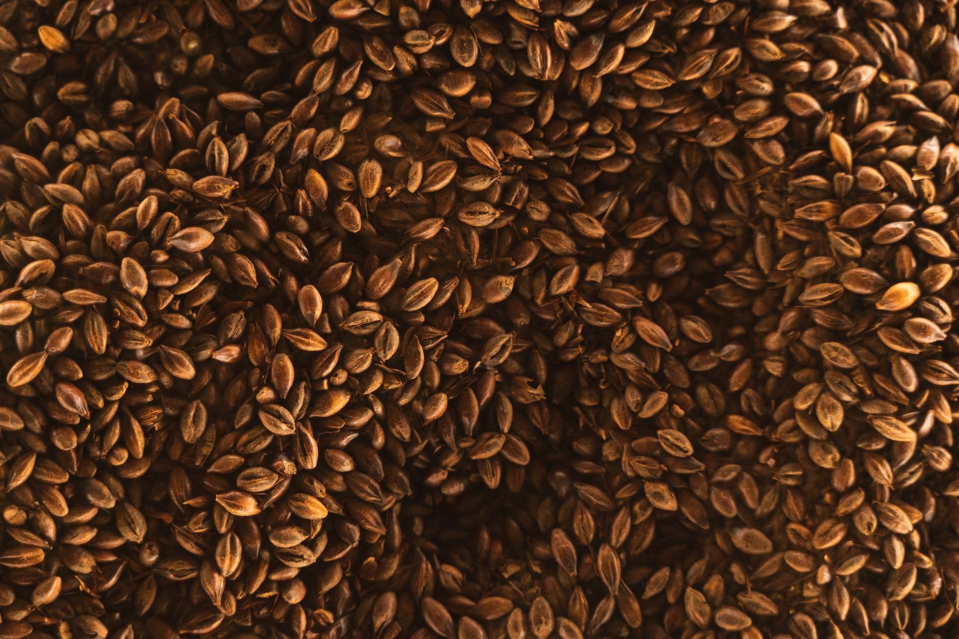 14-facts-about-flaxseed