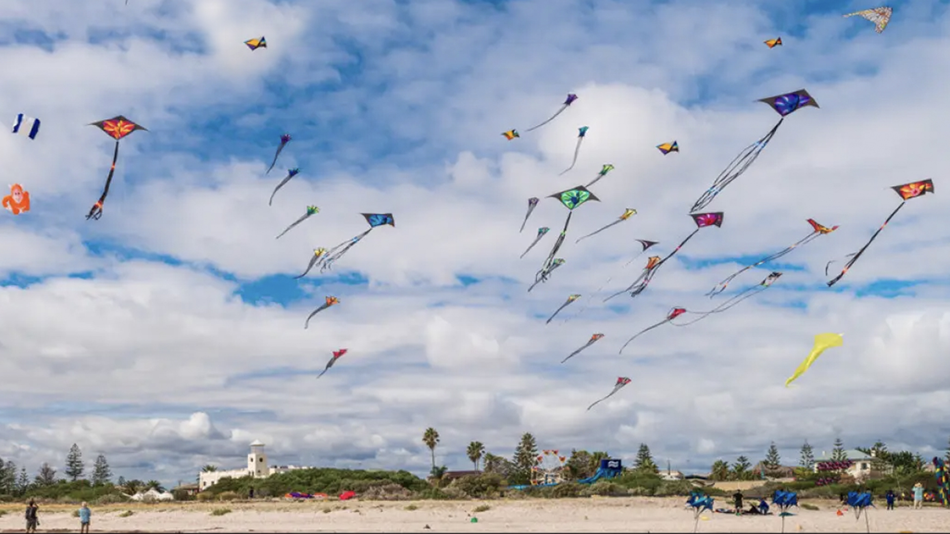 14-facts-about-kite-festival