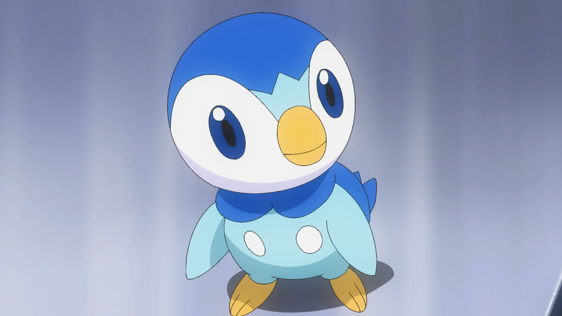 14-facts-about-piplup
