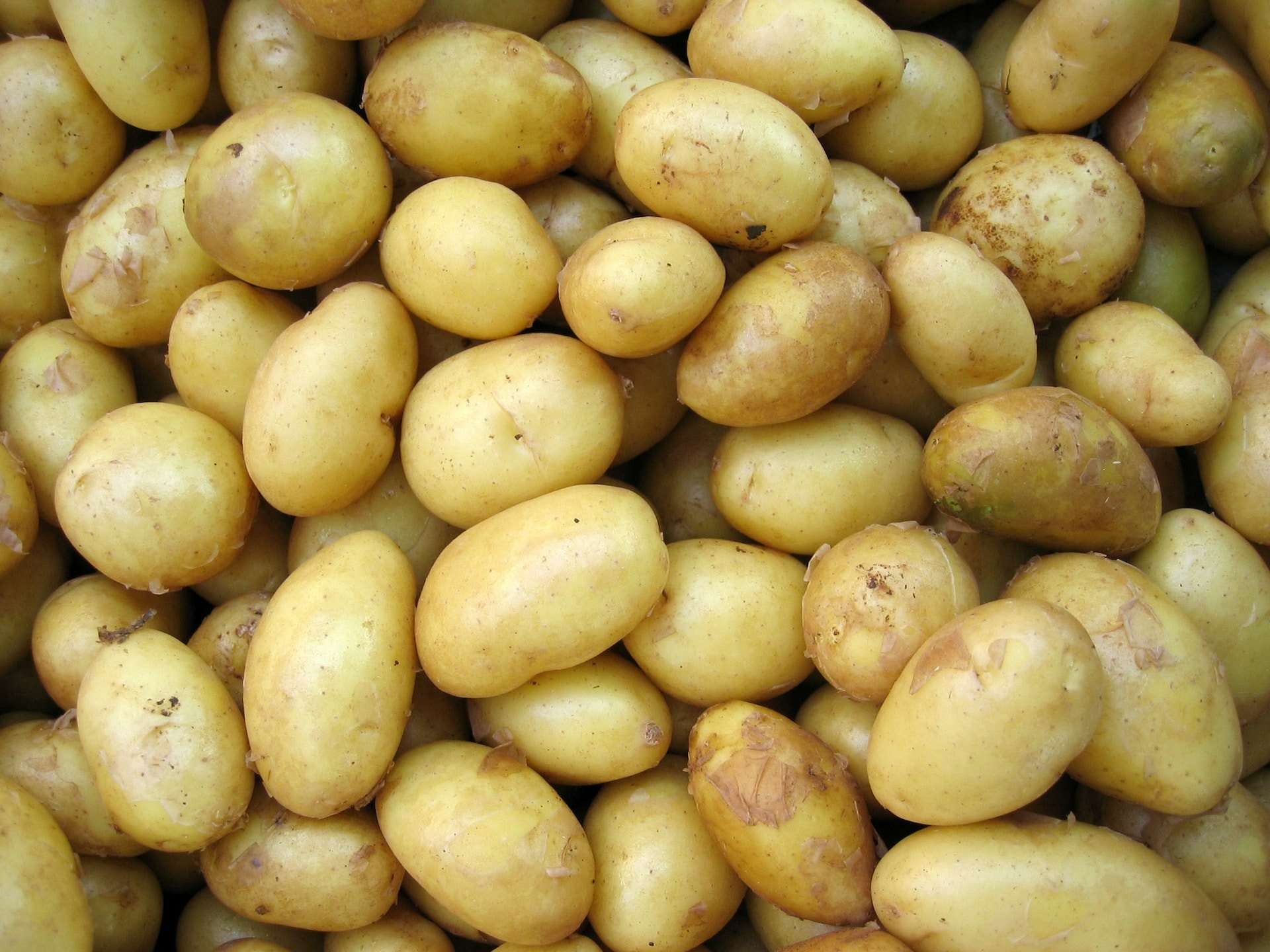 14-facts-about-potatoes
