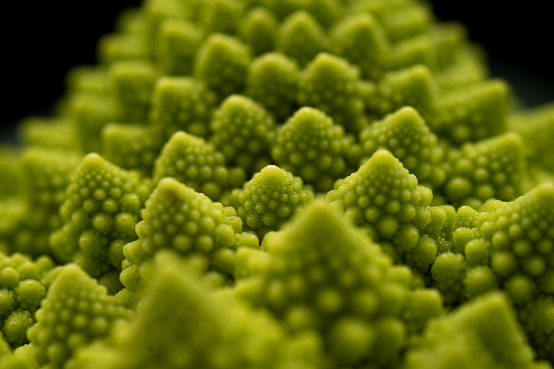 14-facts-about-romanesco