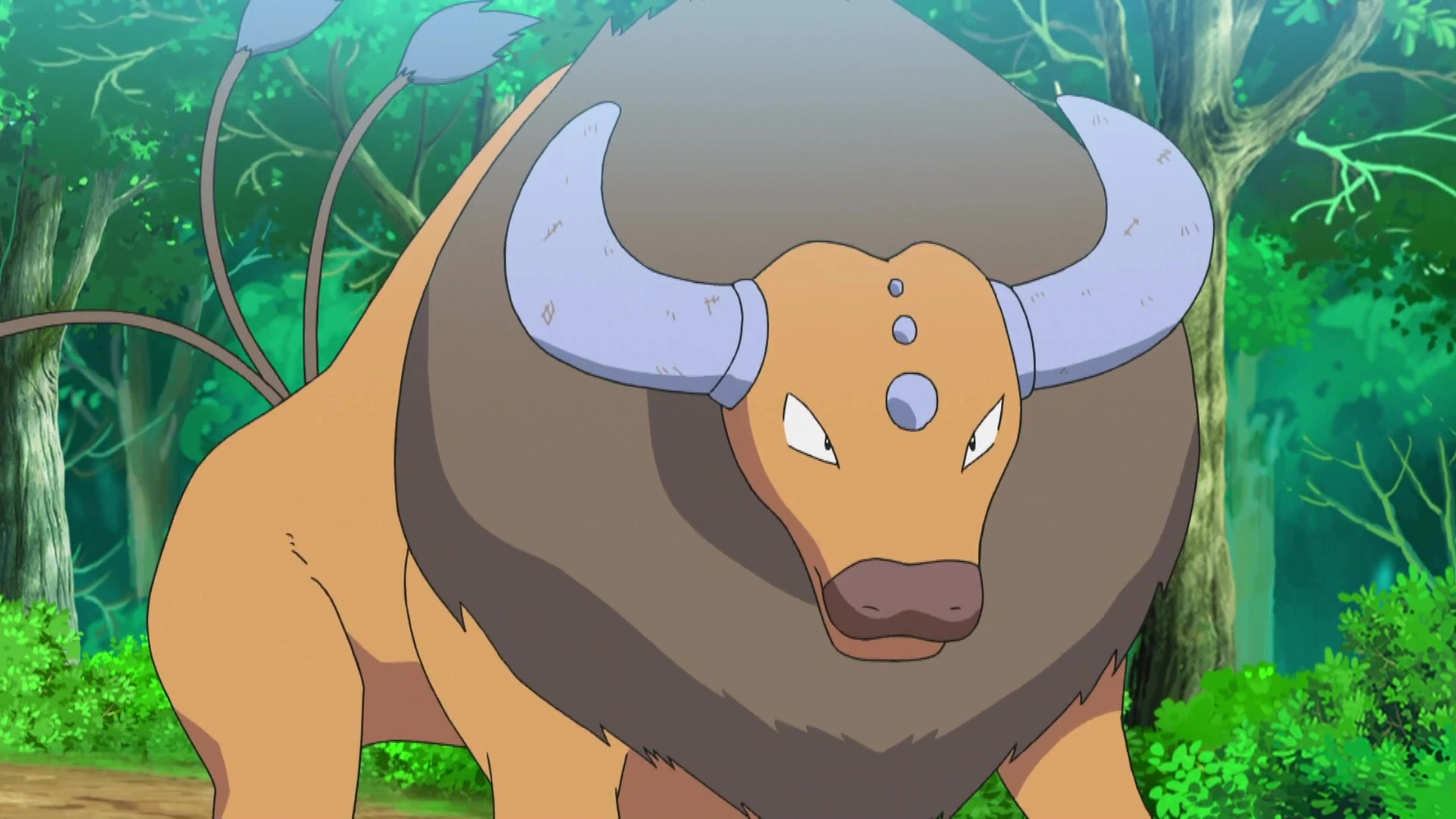 14-facts-about-tauros