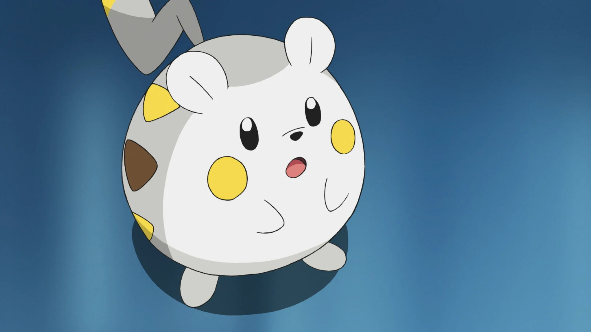 14-facts-about-togedemaru