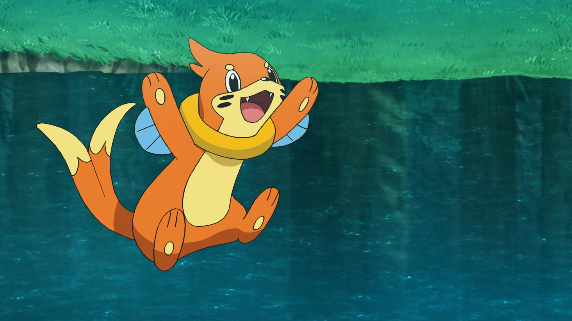 15-facts-about-buizel