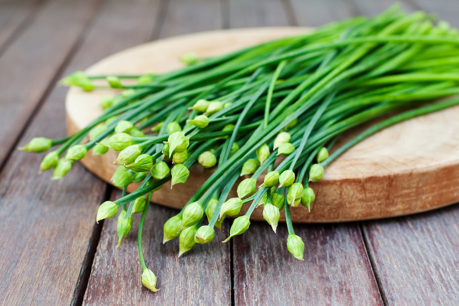 15-facts-about-chives