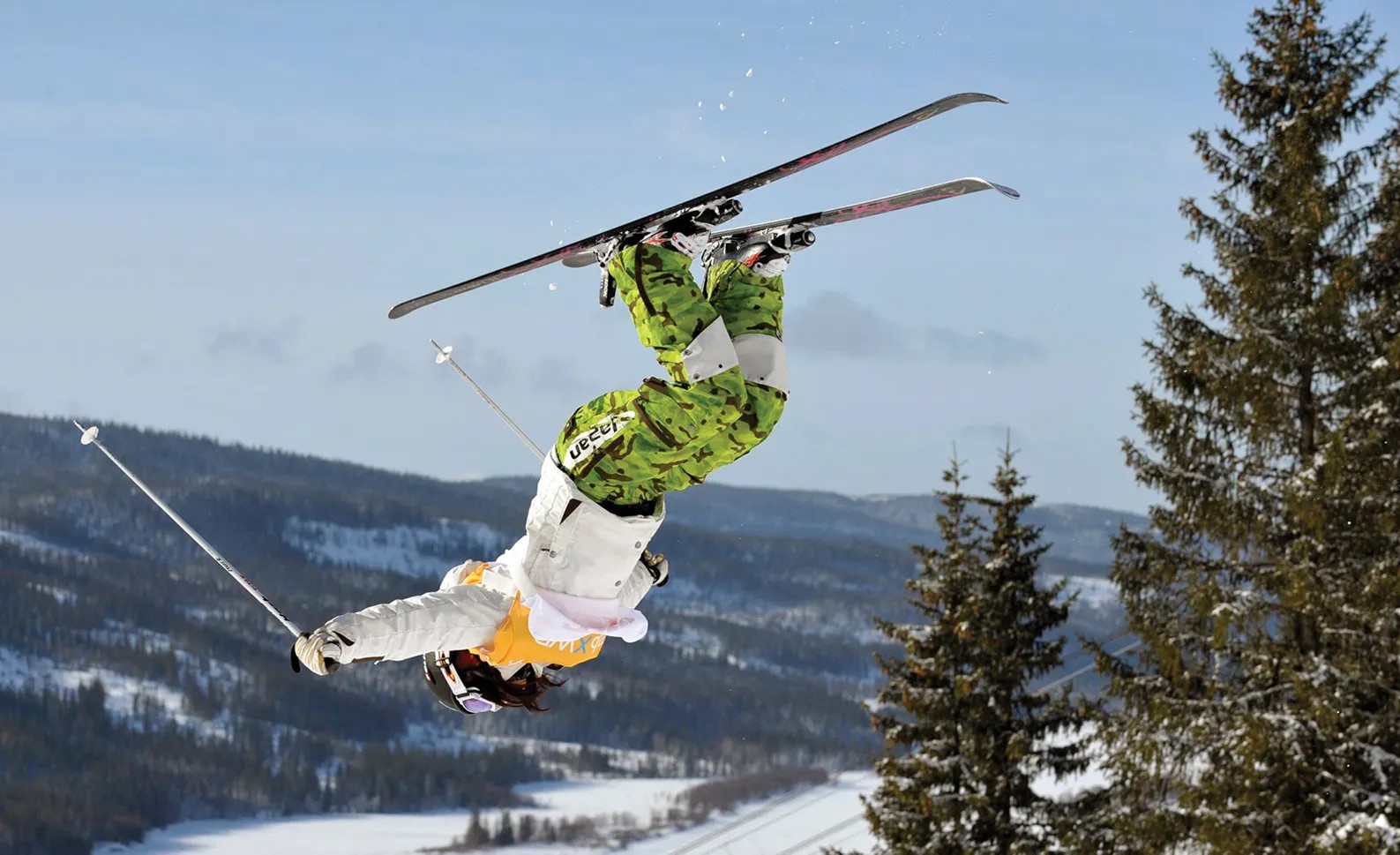 15-facts-about-freestyle-skiing