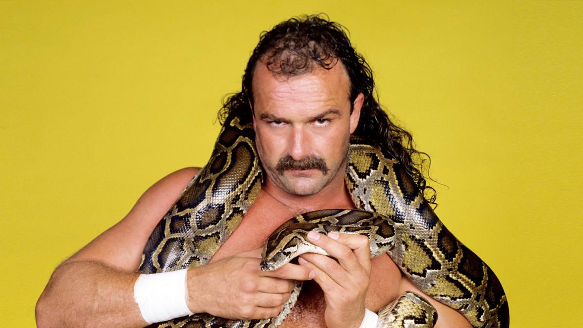 15-facts-about-jake-roberts