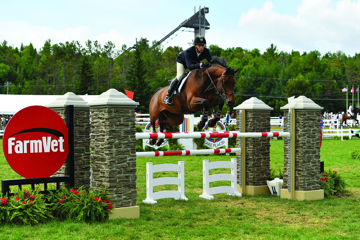 15-facts-about-lake-placid-horse-shows