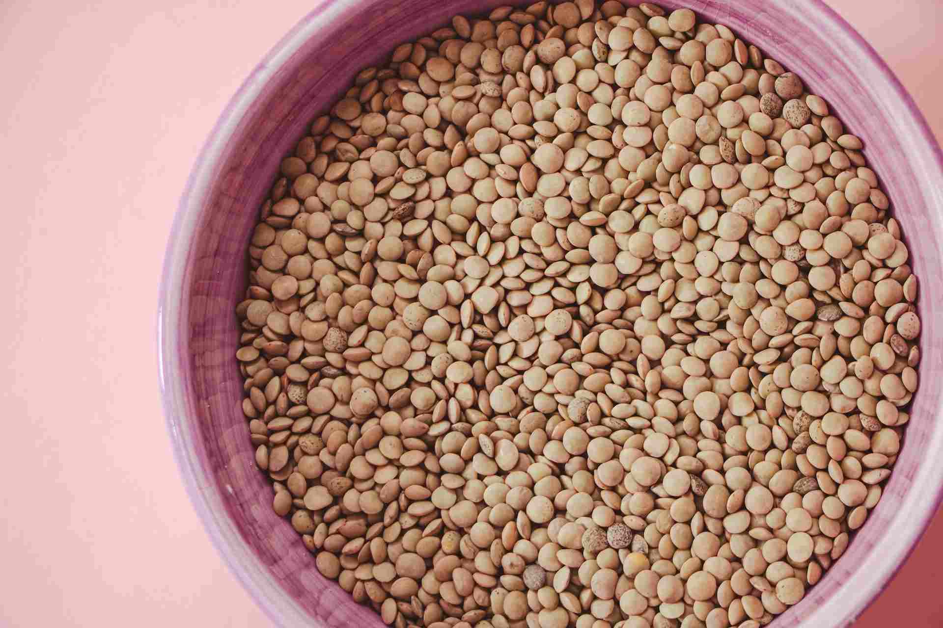 15-facts-about-lentils