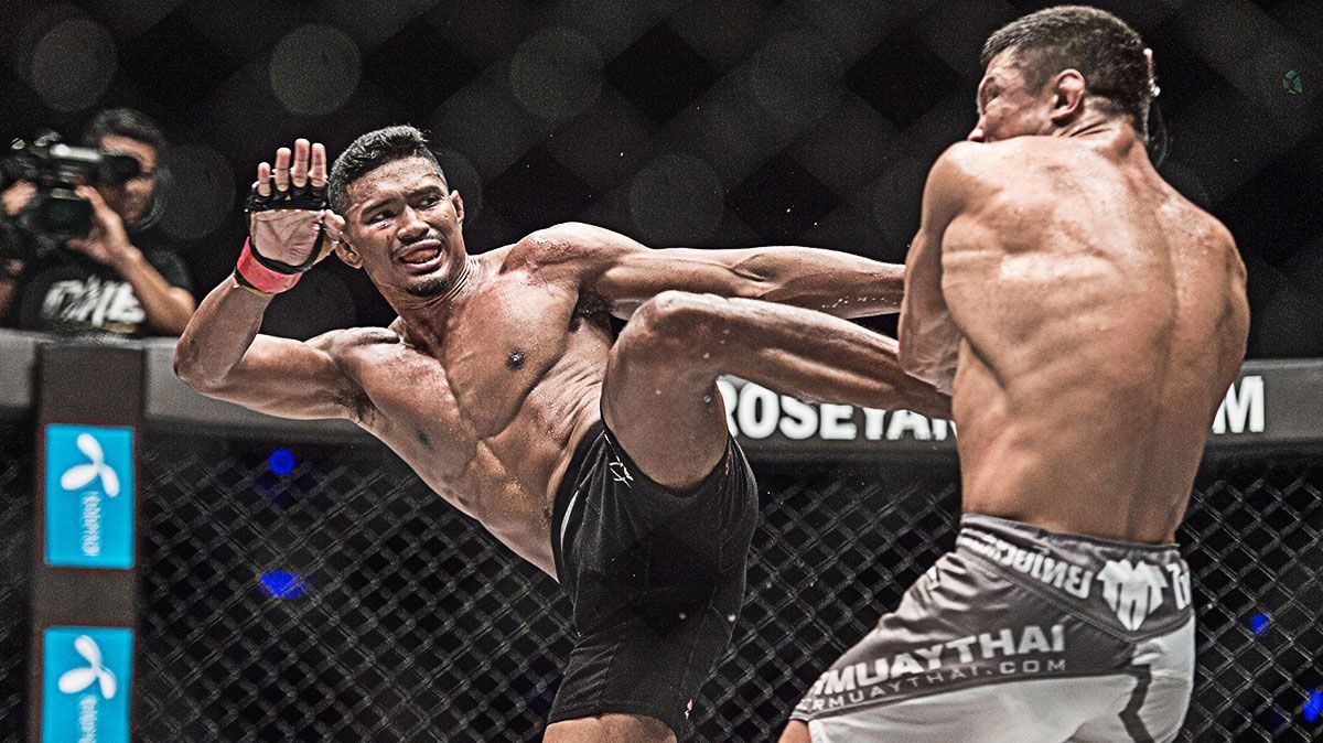 15-facts-about-mixed-martial-arts