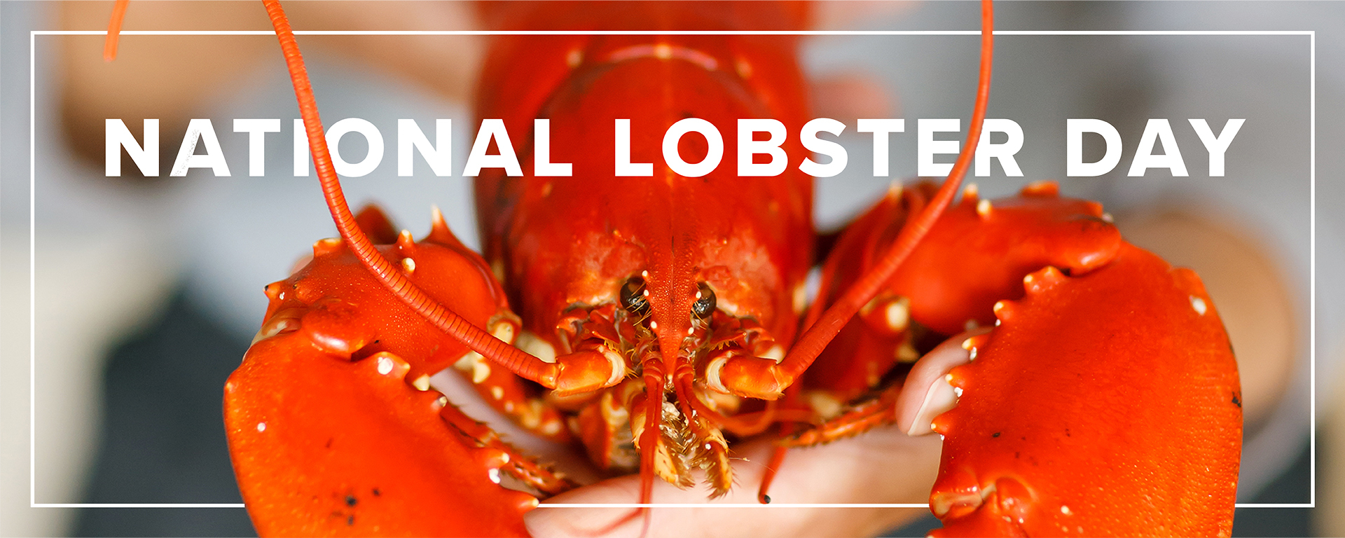 15 Facts About National Lobster Day