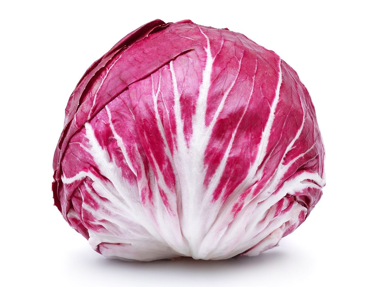 15-facts-about-radicchio