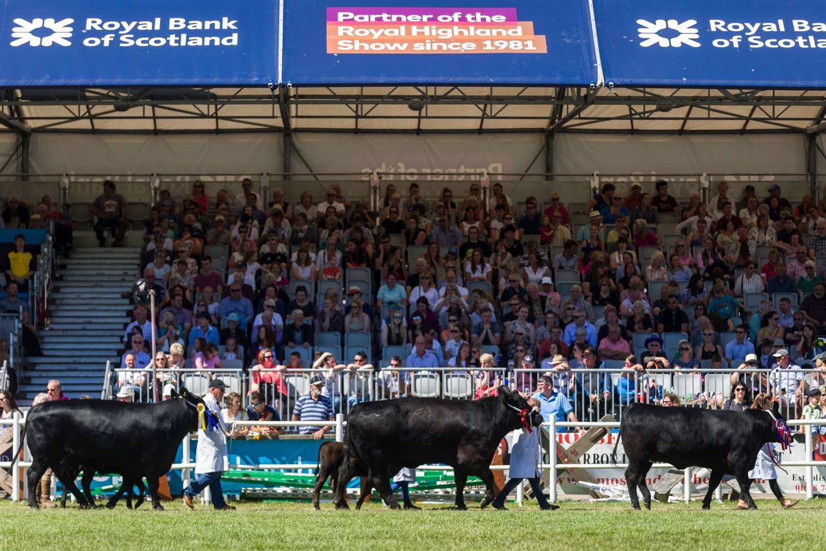 15-facts-about-royal-highland-show